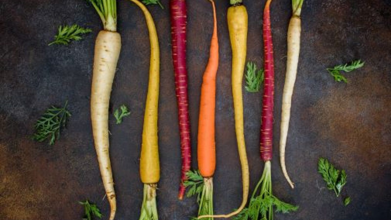 dana-devolk-N_0Wi_OrucE-unsplash-d9fcb3e8-px2rxrjj7ho8nwaamjtid1voub7hh0z8r5wuxjfs4o